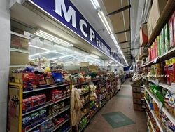 Peakview Estate (D16), Apartment #503475191